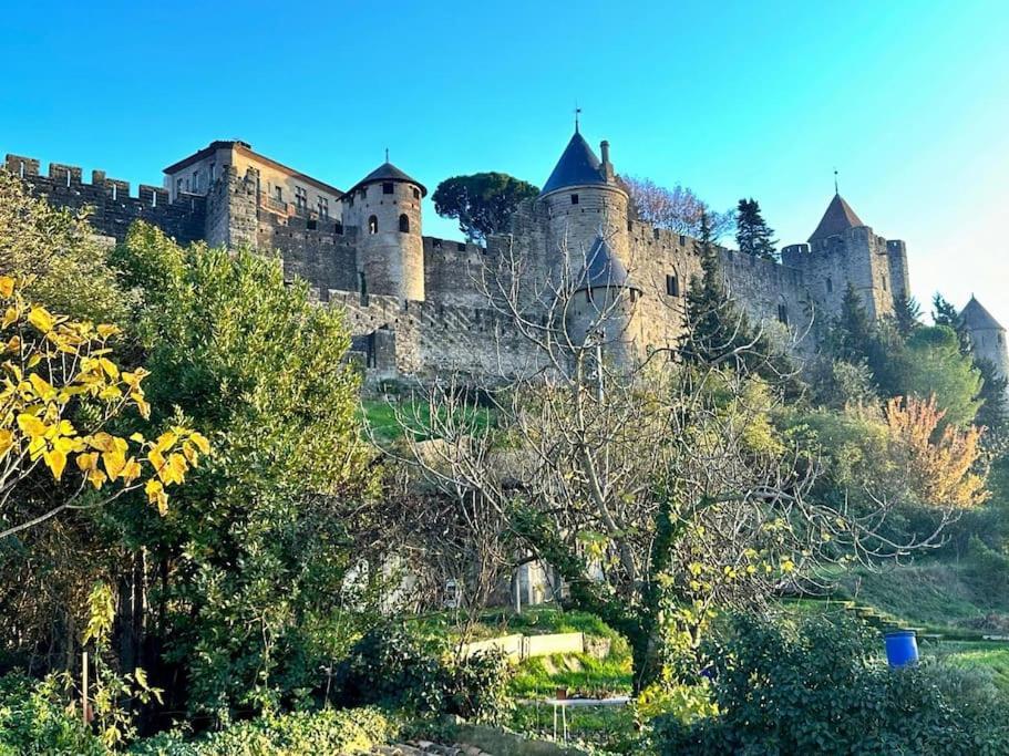 Maison Henriette - Au Pres De La Cite Medievale Appartement Carcassonne